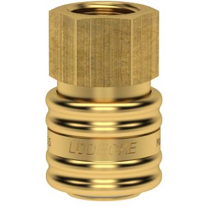 INDUSTRIE-ES-KUPPLUNG DN 5,5 G 1/4" IG